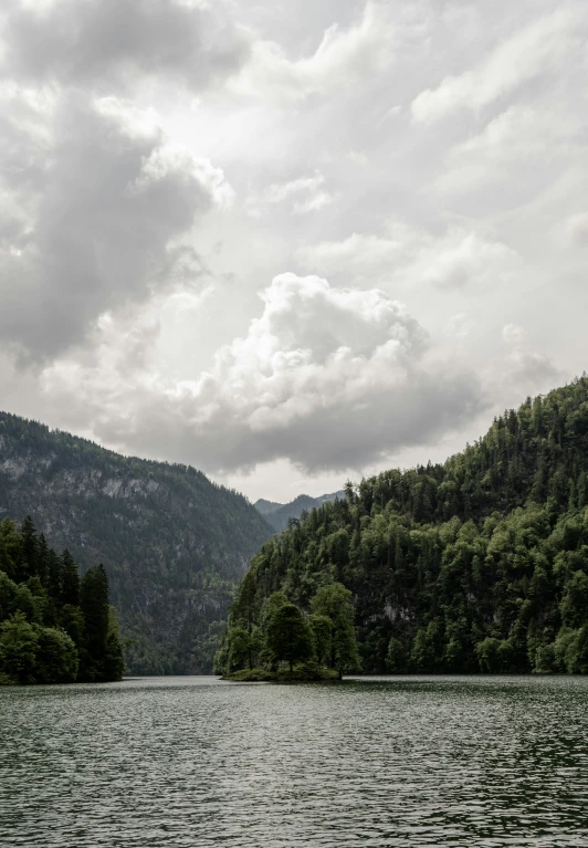 a mountain with lots of trees on the side