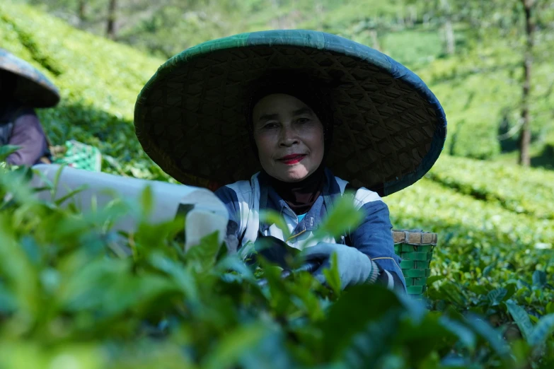 two women in hats in the middle of tea field