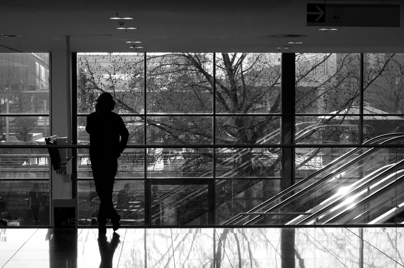 a person standing in a large room looking out at trees