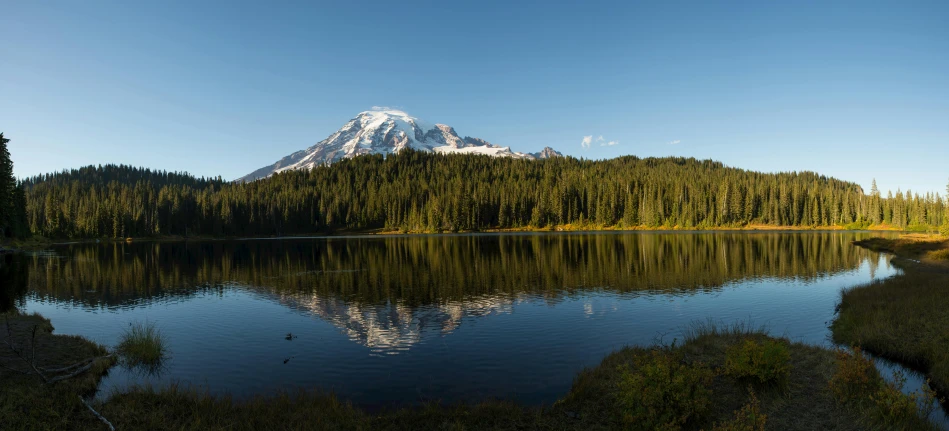 a mountain rises above a forest, reflecting in the still water