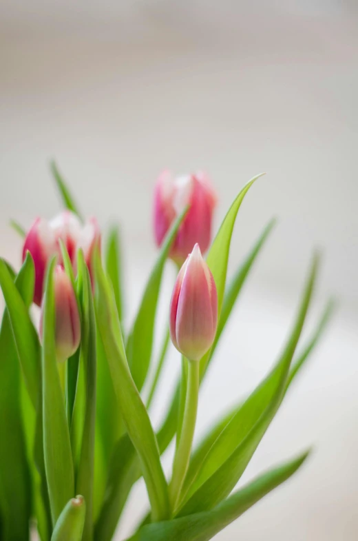 a bunch of flowers in a vase sitting on the table