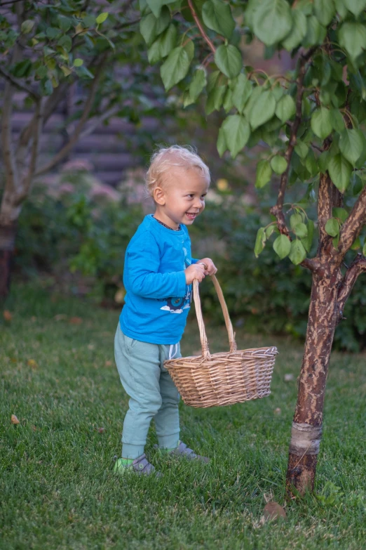 a little boy carrying a basket in a tree