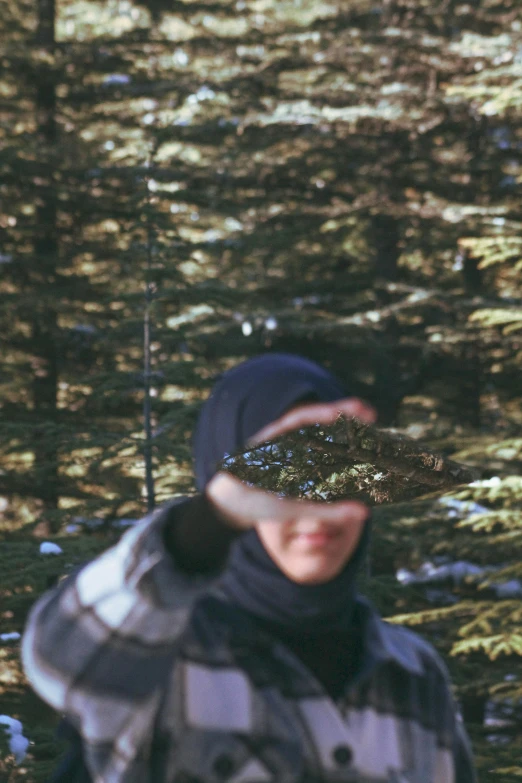 a man standing in front of a forest filled with lots of trees