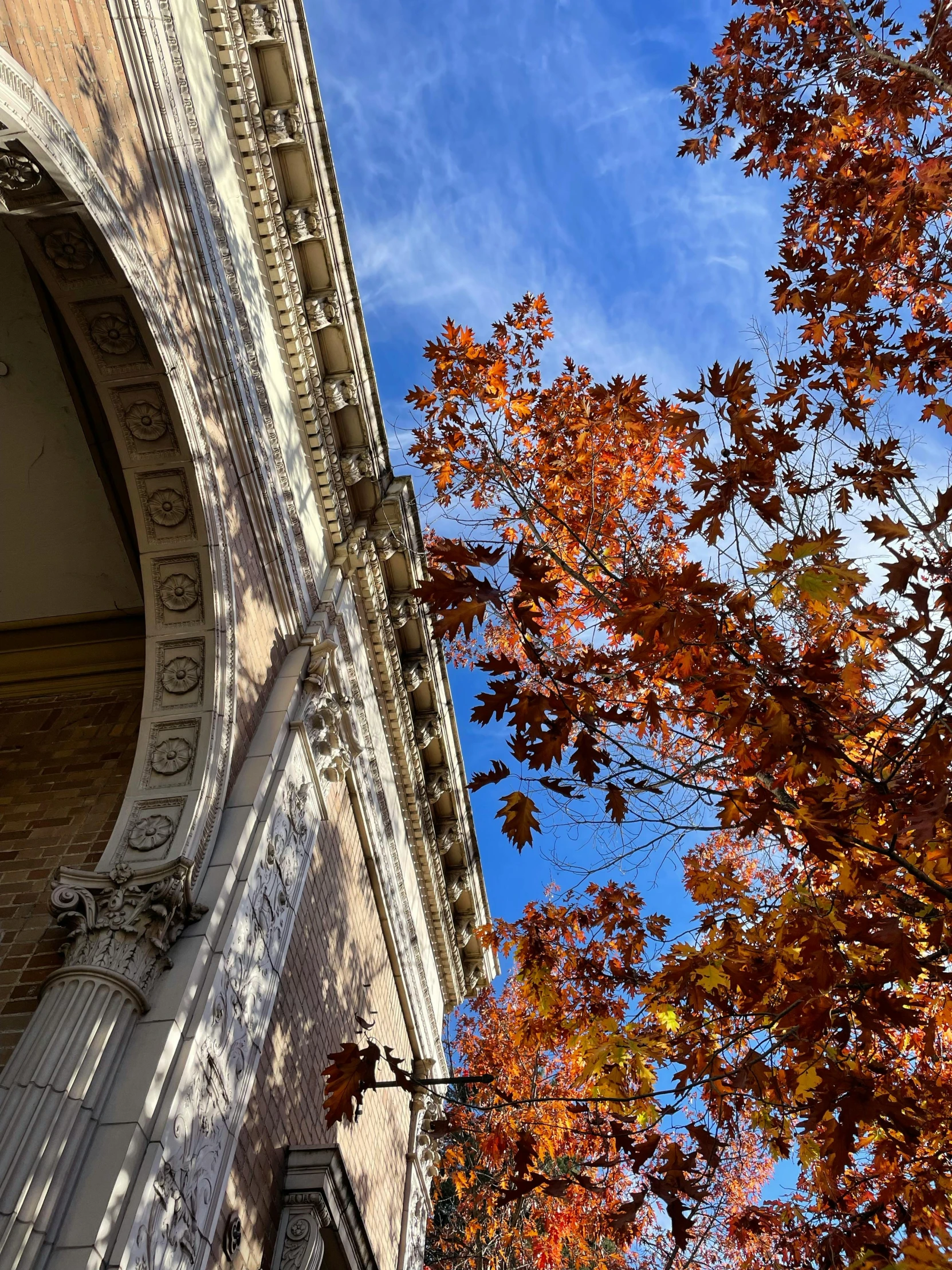 a building that has some orange and red leaves