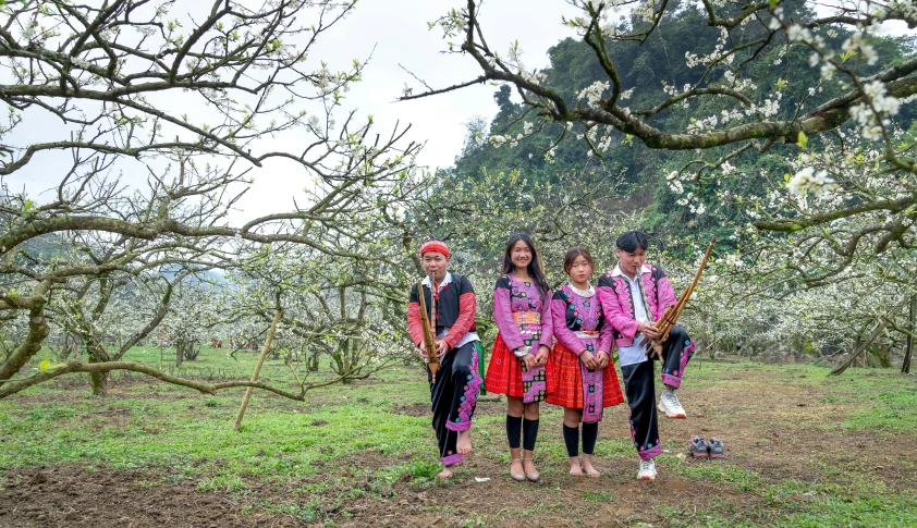 three children pose for a picture in a field next to apple trees