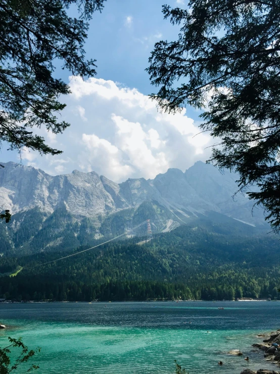 a body of water surrounded by forest