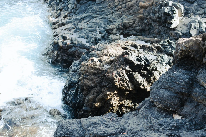 a bird sits on a rock with foamy water