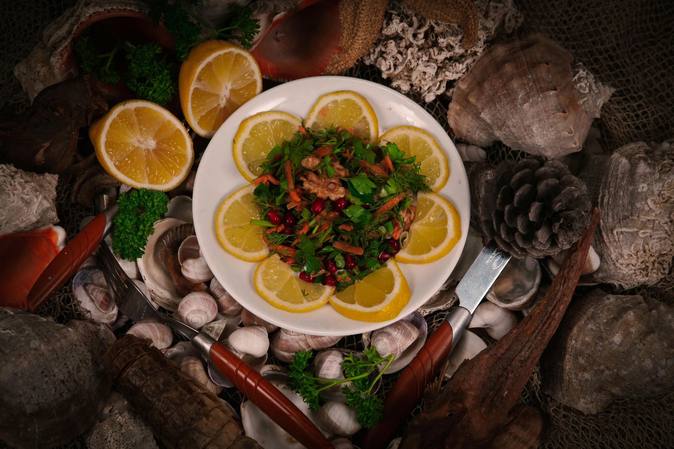 a plate with lemons, parsley and other foods on a bed of rocks