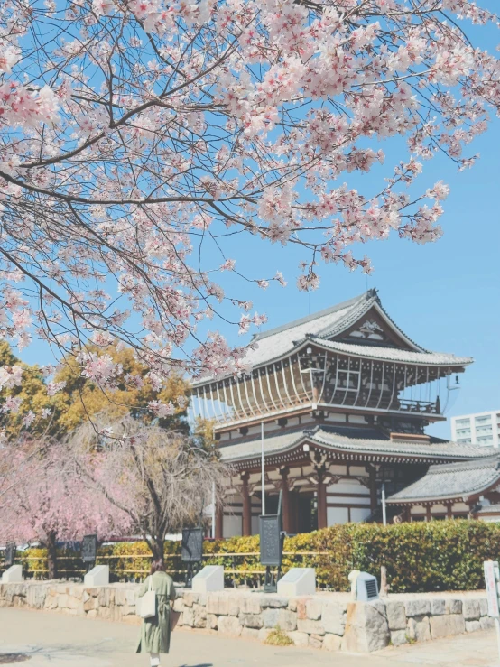 a woman walks past a building in front of cherry blossom trees