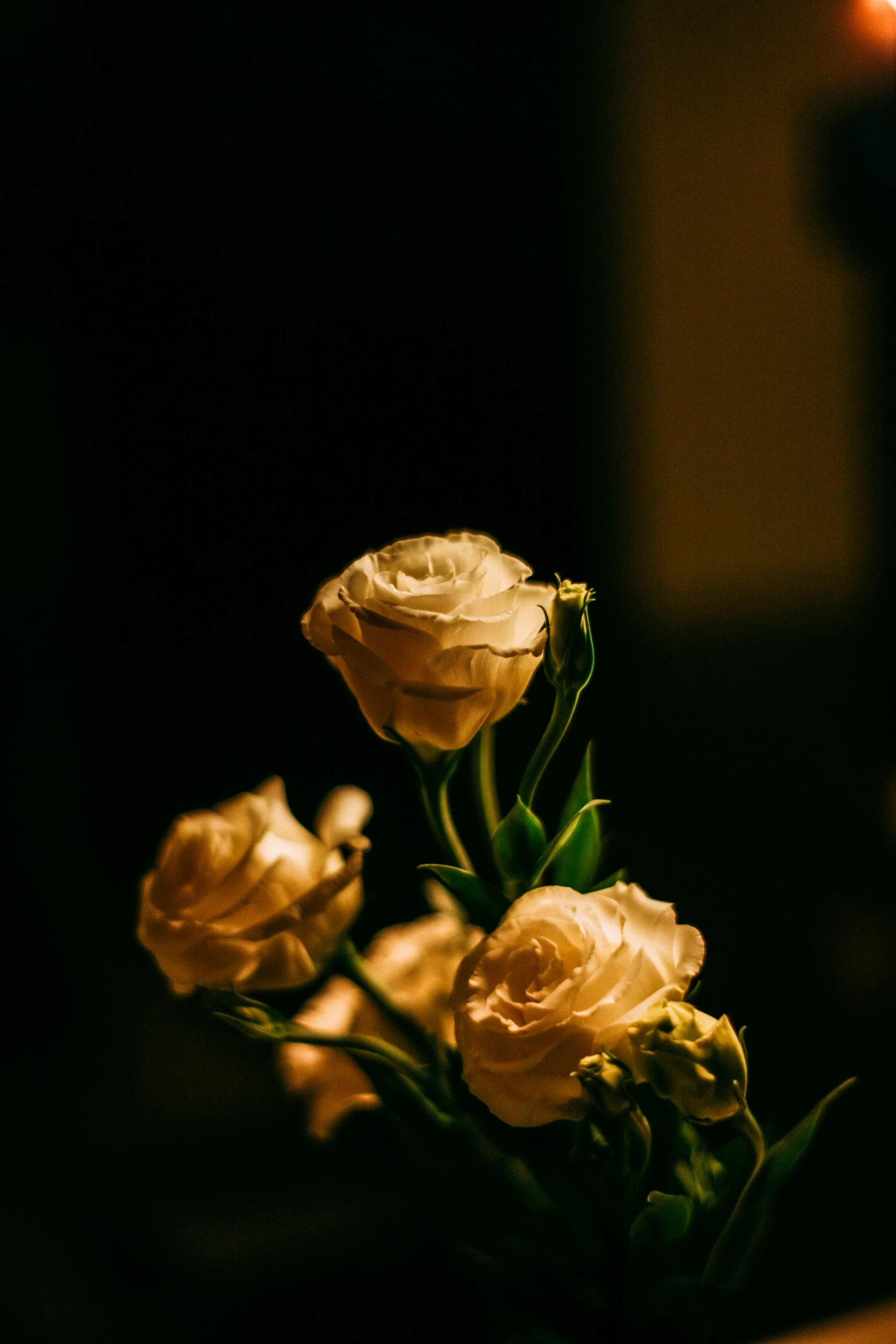 white flowers on the stems inside of a glass vase