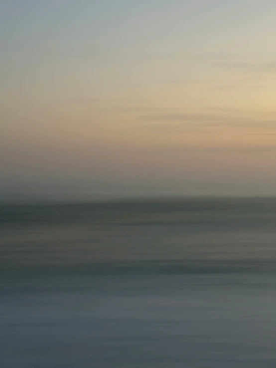 a lone bird sitting on top of the ocean