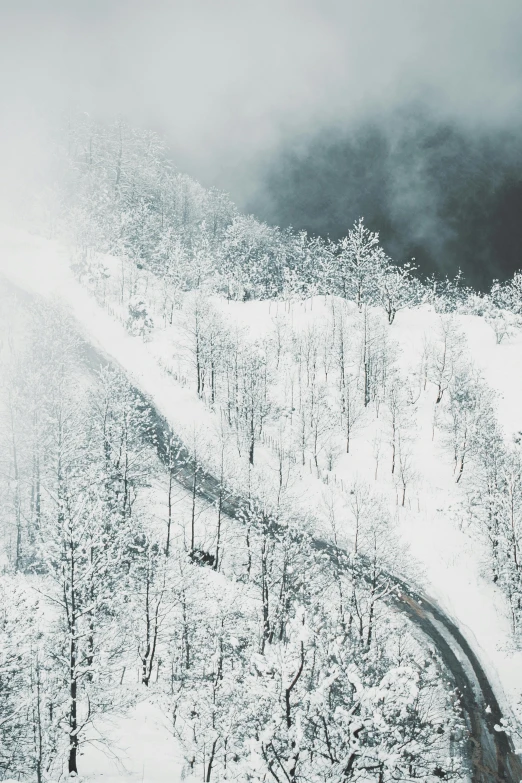 a snowy landscape of a road on a mountain