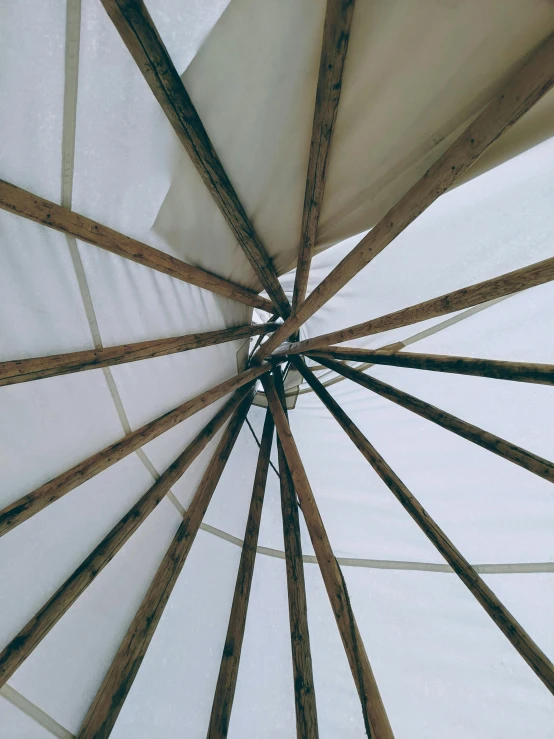 closeup view from under a white and brown outdoor umbrella