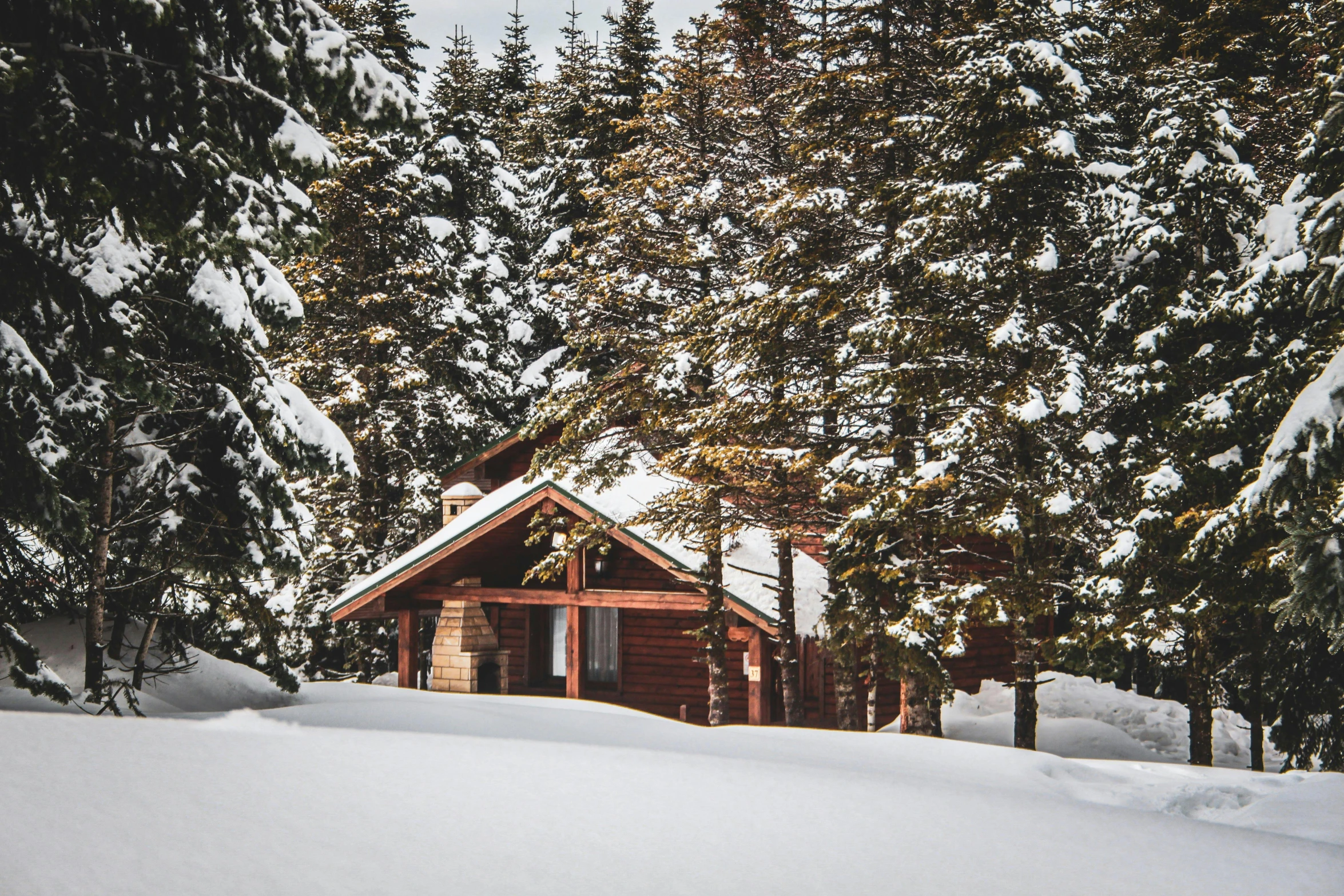 a cabin nestled in the trees near the snow