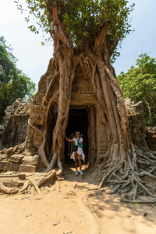 a couple sitting in a small rock shelter with an enormous tree growing on the side of it