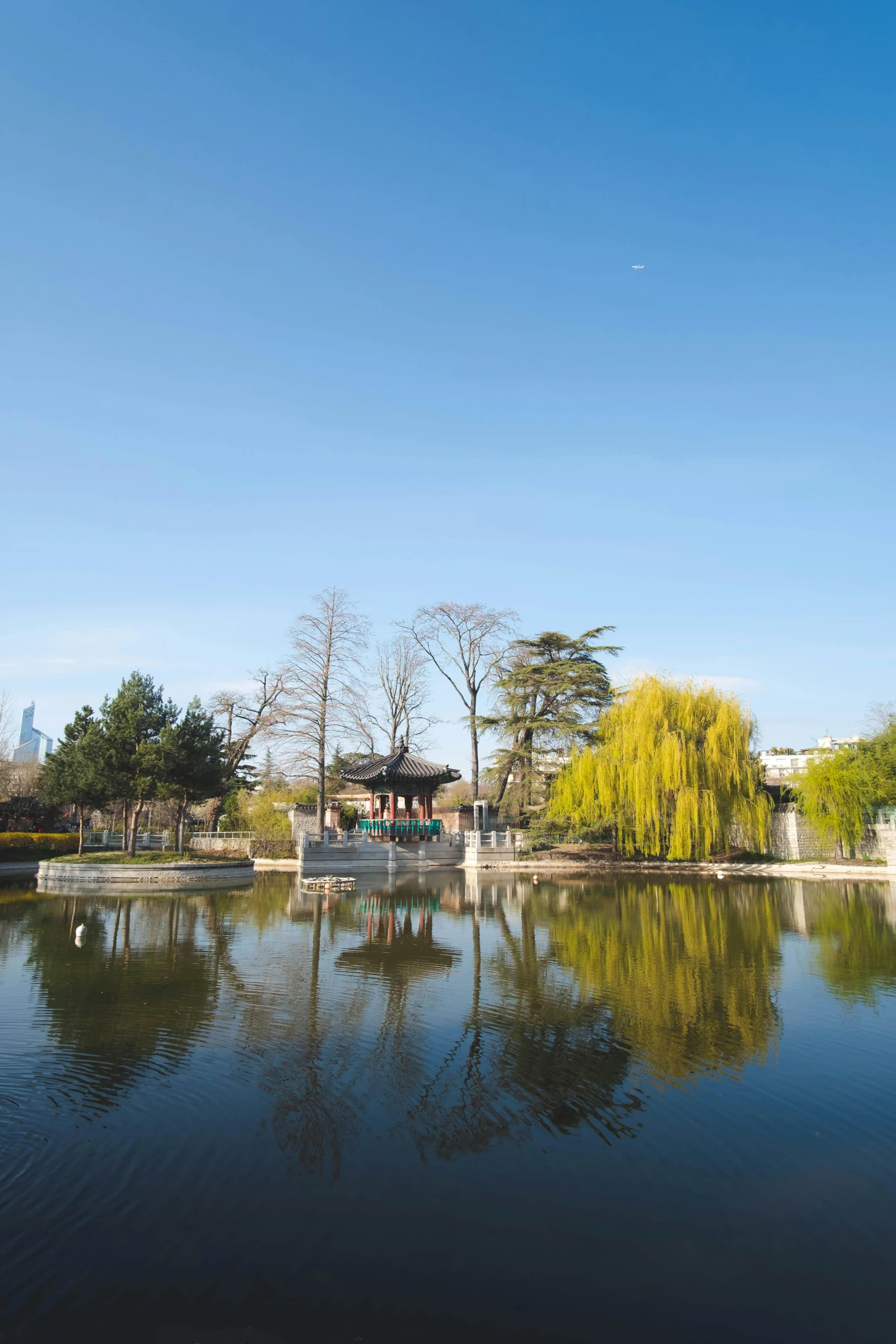 a pond surrounded by trees and a fence