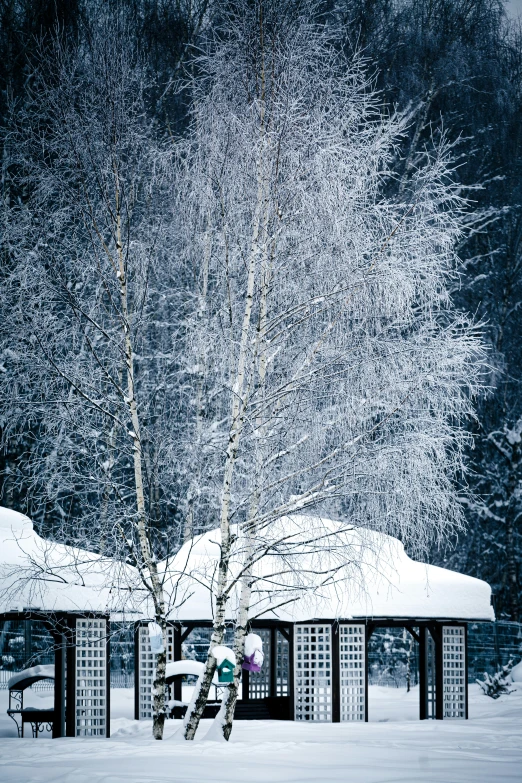 the snow covered park benches are empty for people to see