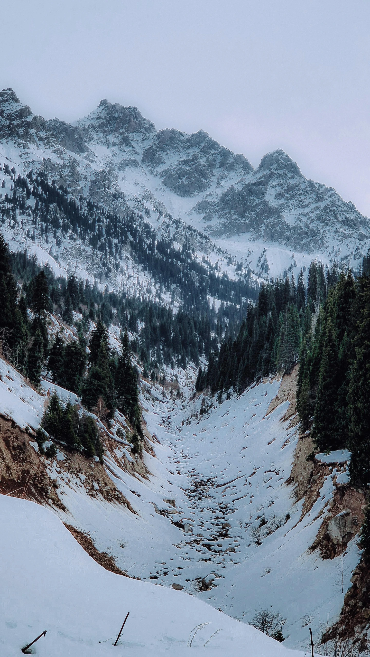 a group of mountains surrounded by snow