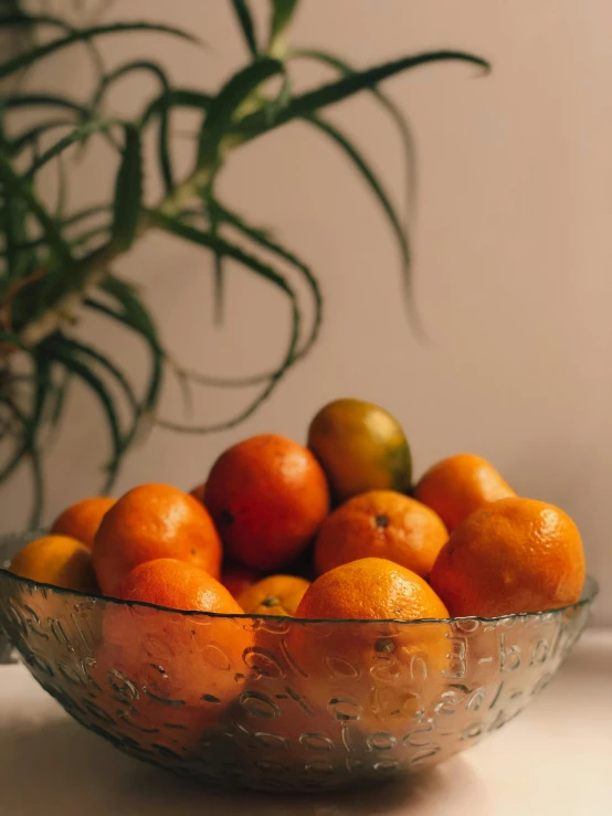 a glass bowl with oranges sitting on a table