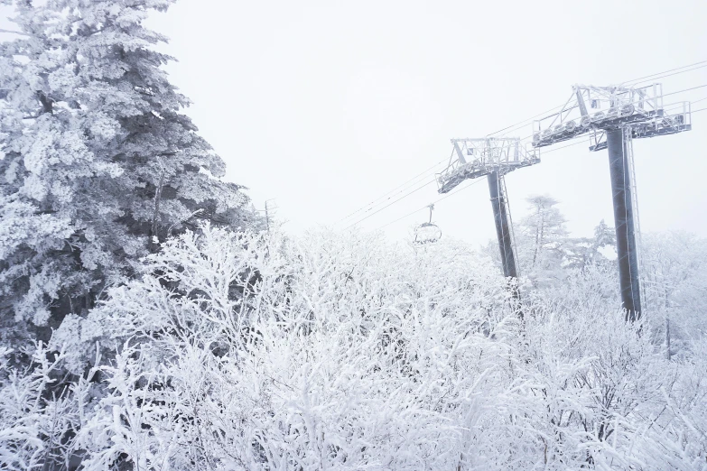 the ski lift has snow covered trees beside it