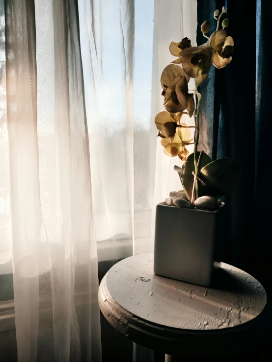 a flower sits on a small wooden table