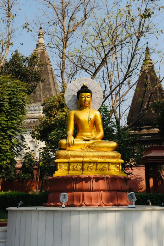 gold buddha statue near the trees in a park