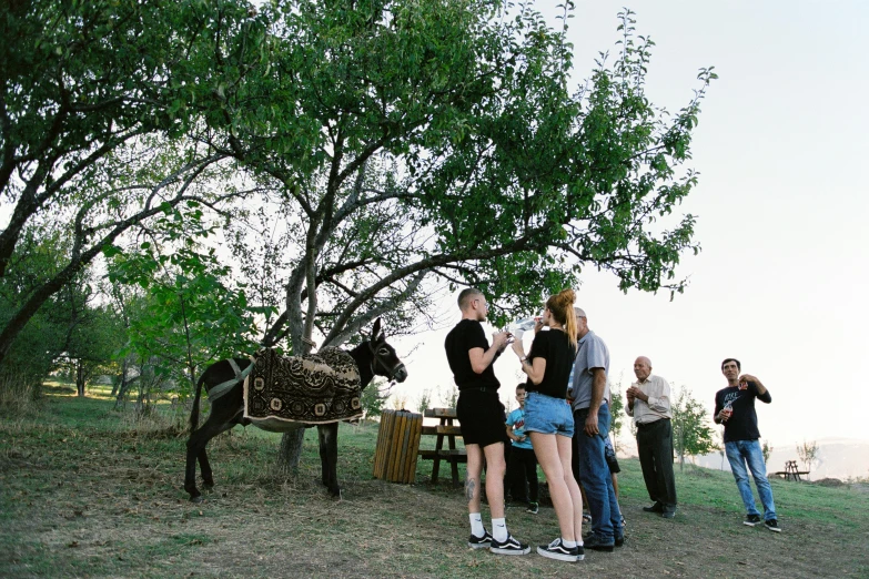 two woman stand in front of two men who are standing near a tree and a black cow statue