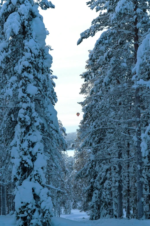 two snowboarders are out skiing through the woods