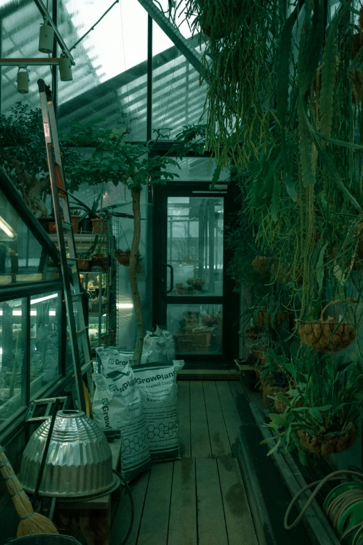 several plants are growing inside of a green house