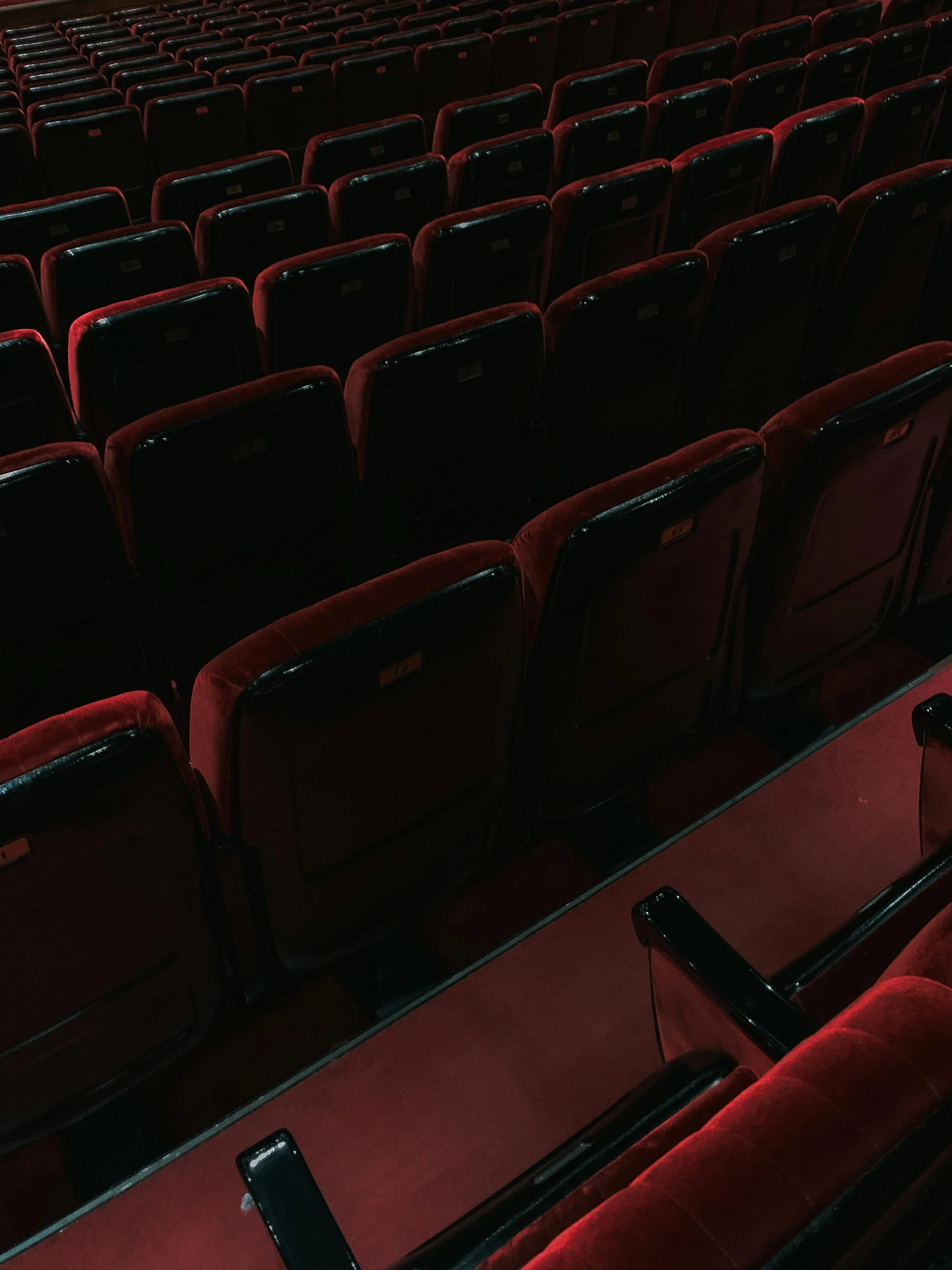 rows of seats sitting in a auditorium in front of the floor