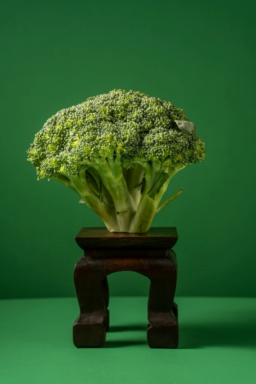 a piece of broccoli is placed inside of a wooden holder