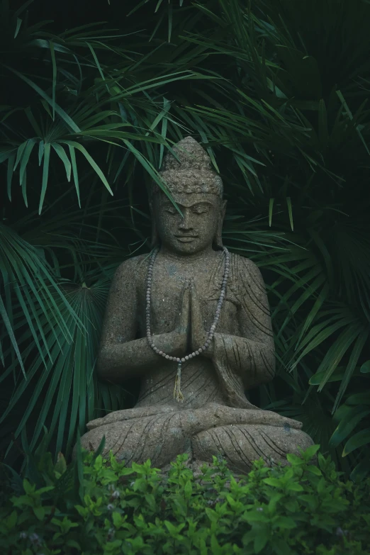 buddha statue in the middle of tropical trees and leaves