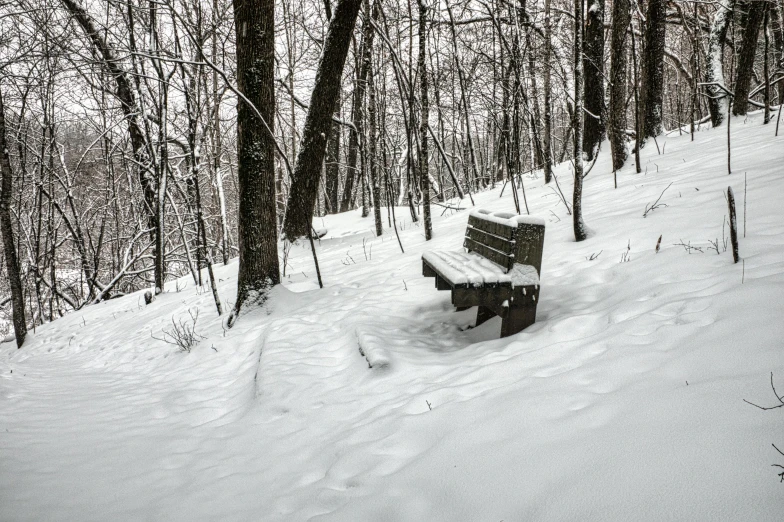 a snowy bench that is next to a forest