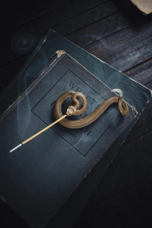 a snake in a denim pocket with a needle