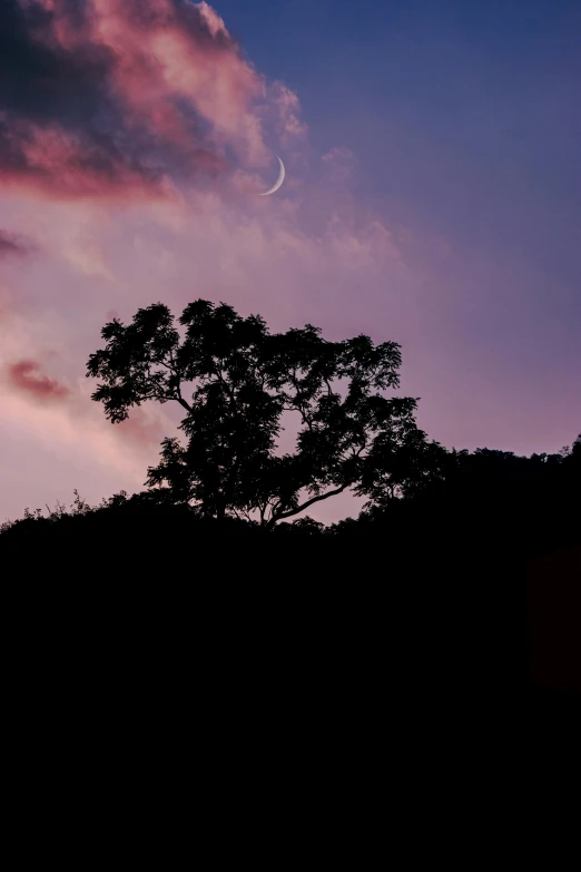 the tree on the hill has a half moon in the sky