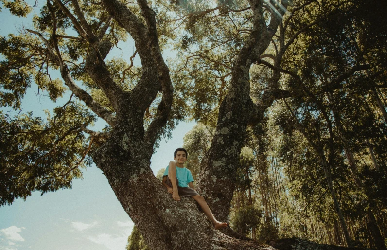 a girl sitting on the trunk of a tree