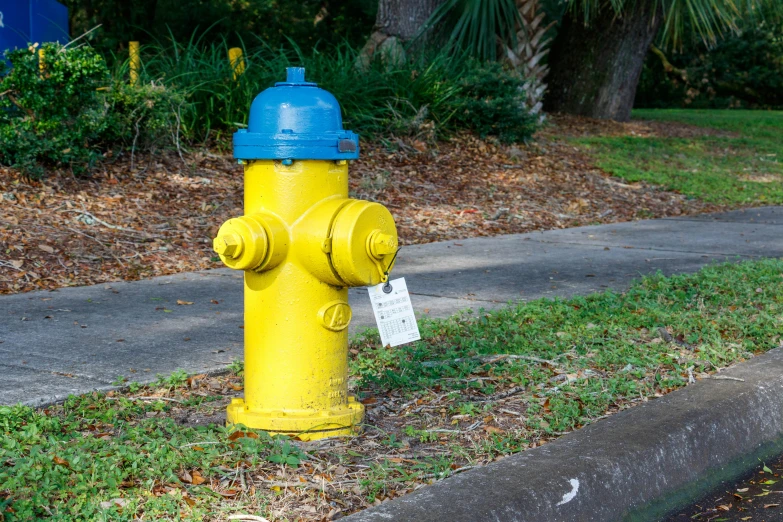 yellow and blue fire hydrant on the side of a road