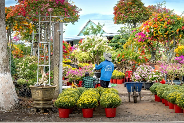 a man picking up plants in a flower shop