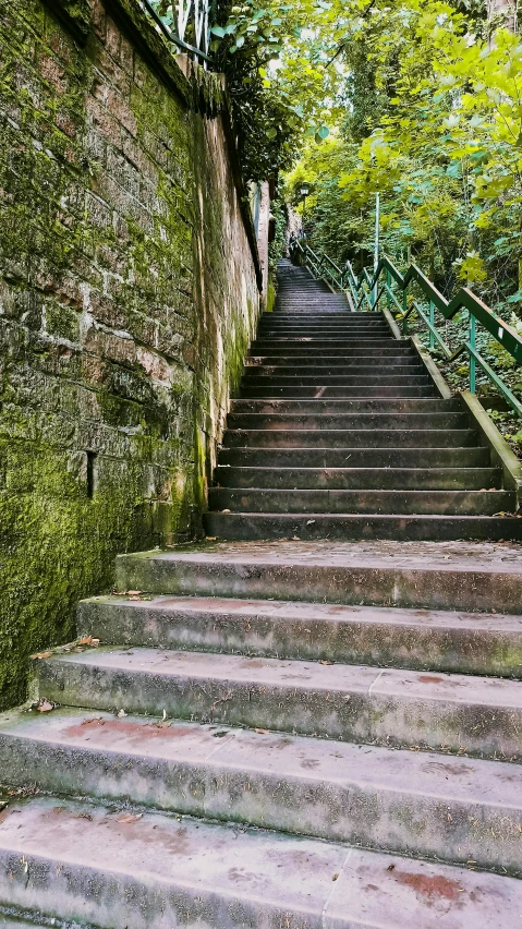 a group of steps next to the stairs in front of trees