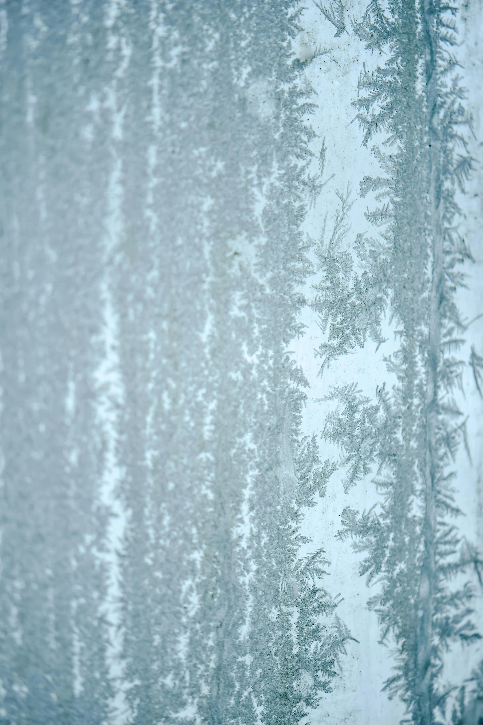 a blurry picture of trees in the snow