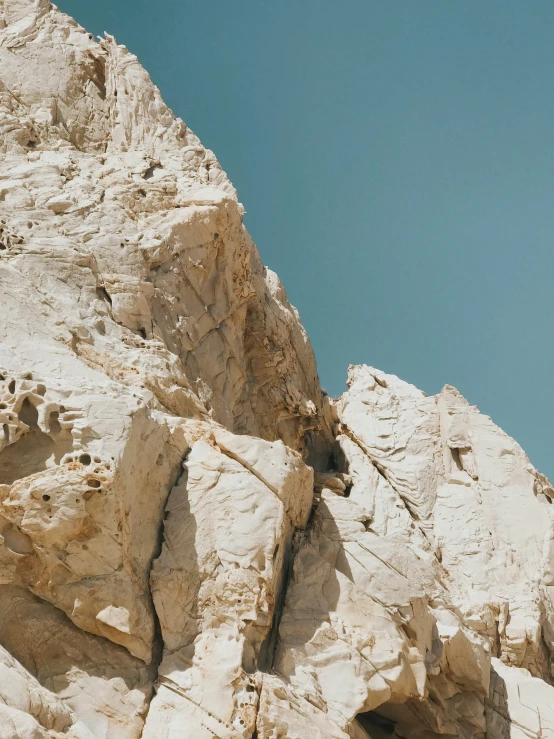 a couple of goats that are standing in the rocks