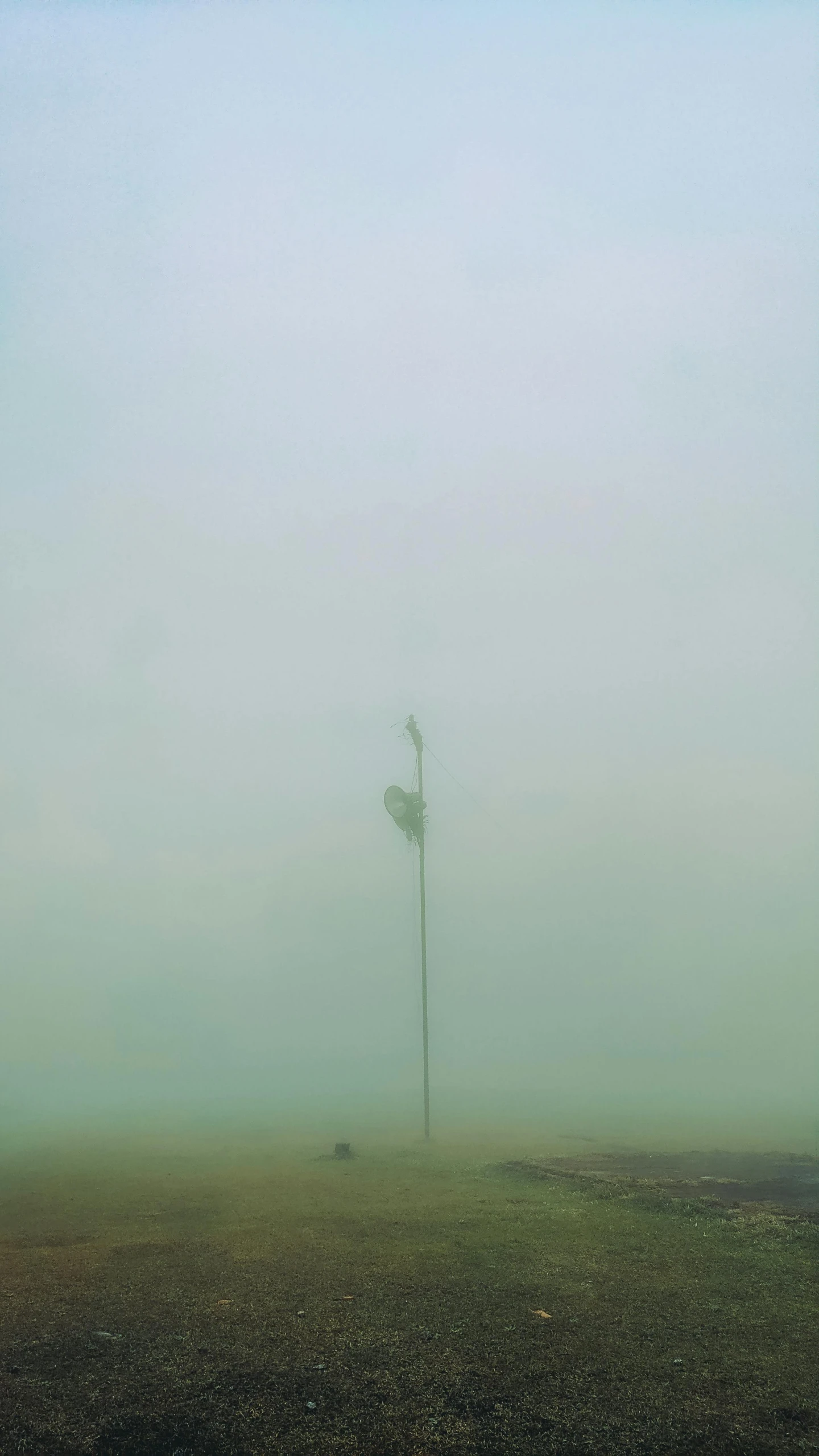 an abstract scene of an empty tree on a foggy day