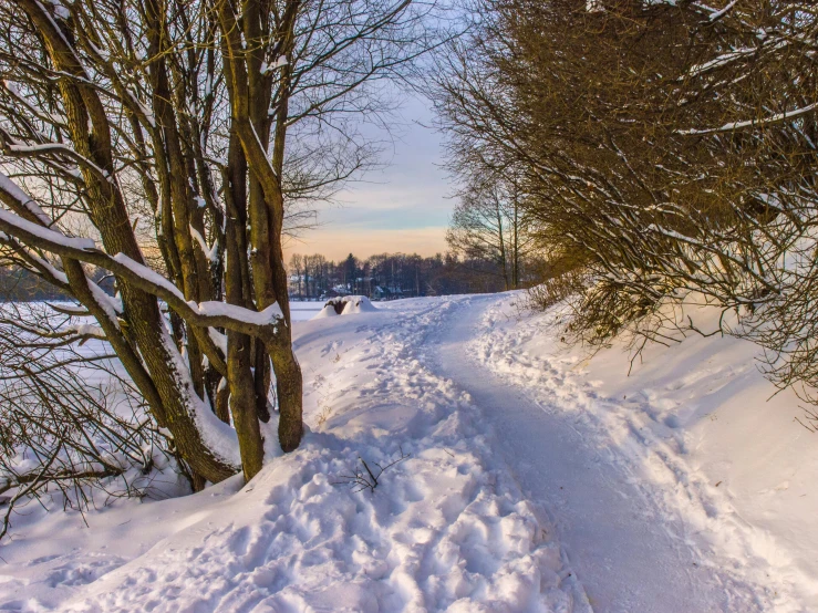 an icy trail with trees on both sides and a snow covered road leading into the distance