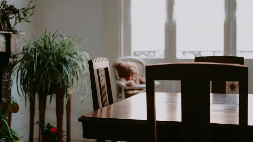 a dining room table with two chairs, a chair and a plant