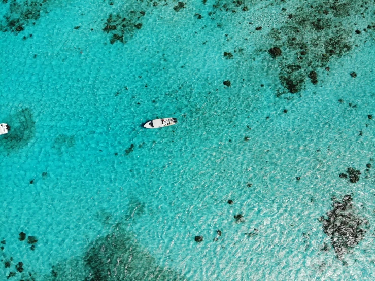 two people surfing in the shallow blue waters