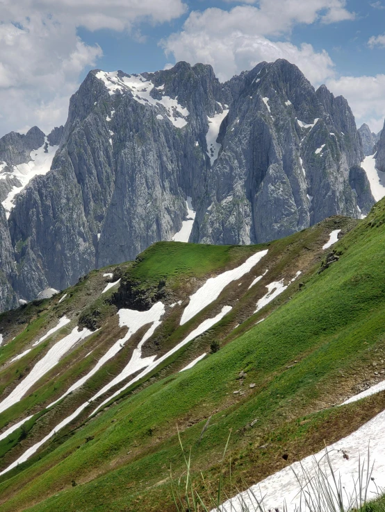 a grassy hillside with mountain view in the background