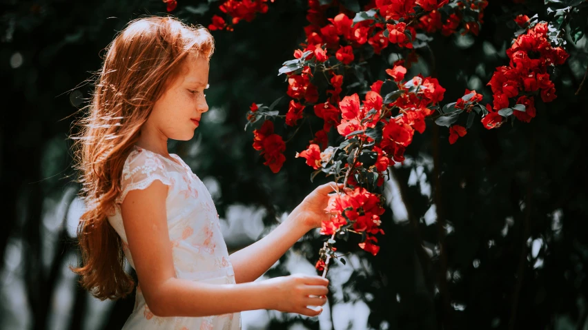 the  is holding a bouquet of red flowers