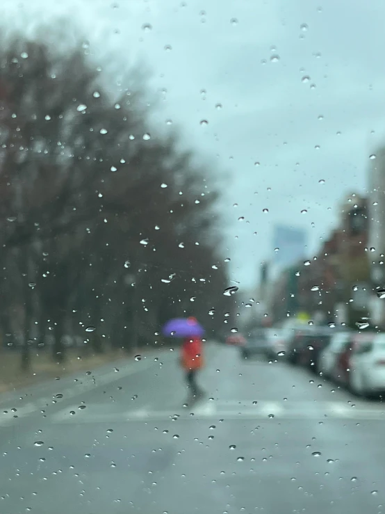 a person holding an umbrella while standing in the rain