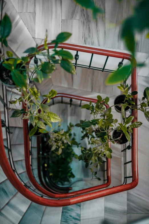 green plants growing up through a mirror in the shape of a stair case