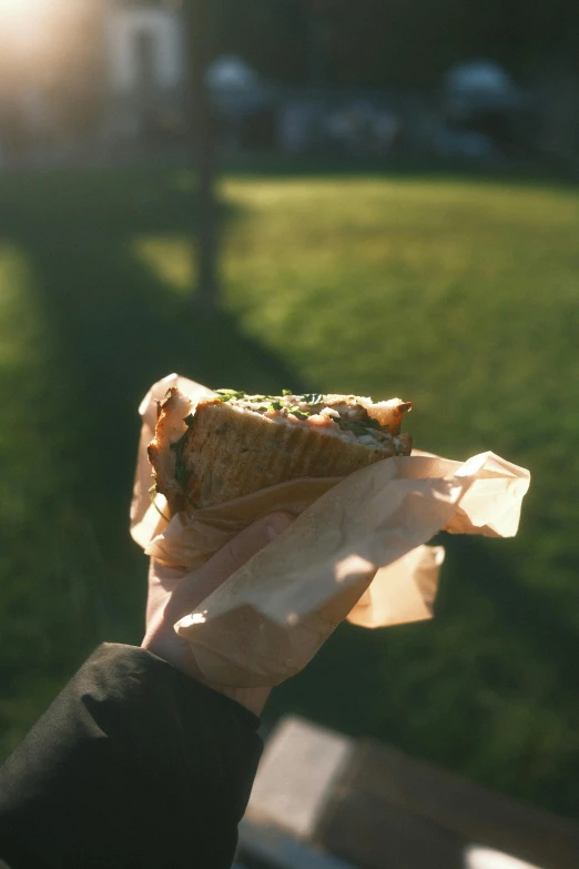 a hand holding a food item in the sunlight